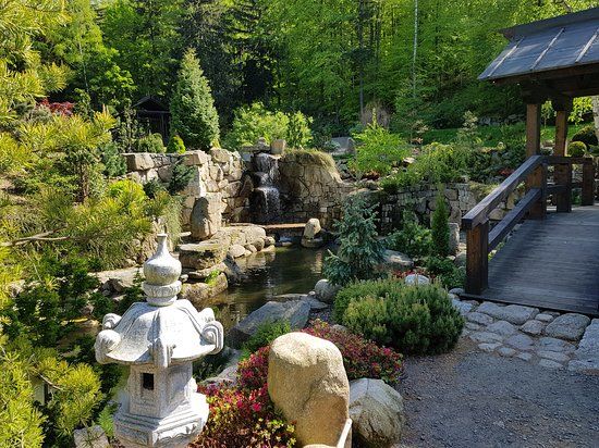 Siruwia Ogród Japoński